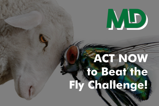ACT NOW TO BEAT FLY THE FLY CHALLENGE