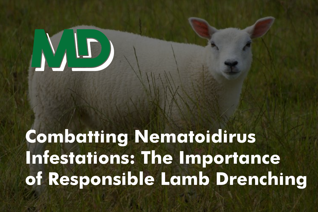 COMBATTING NEMATOIDIRUS INFESTATIONS: THE IMPORTANCE OF RESPONSIBLE LAMB DRENCHING