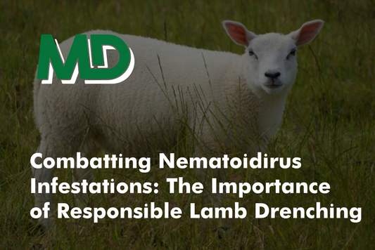 COMBATTING NEMATOIDIRUS INFESTATIONS: THE IMPORTANCE OF RESPONSIBLE LAMB DRENCHING