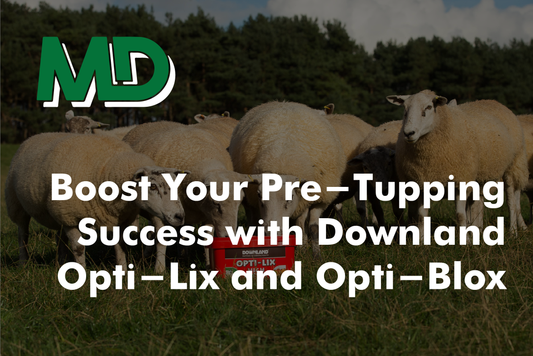Boost Your Pre-Tupping Success with Downland Opti-Lix and Opti-Blox