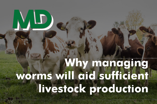 WHY MANAGING WORMS WILL AID SUFFICIENT LIVESTOCK PRODUCTION