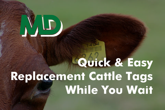 Quick & Easy Replacement Cattle Tags While You Wait