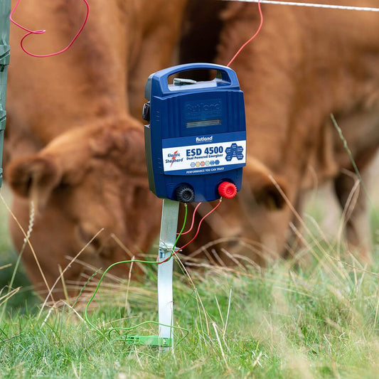 Rutland ESD4500 Dual Powered Energiser