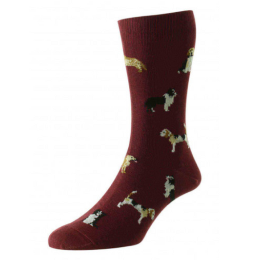 Country Dogs Cotton Rich Socks