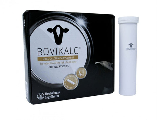 Bovikalc Bolus