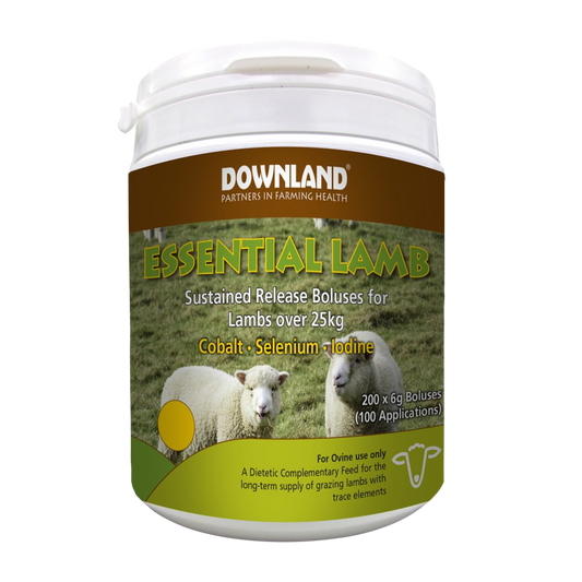 Downland Essential Lamb