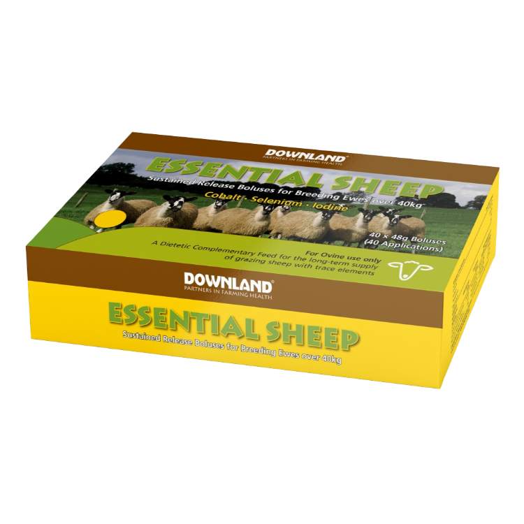 Downland Essential Sheep Bolus