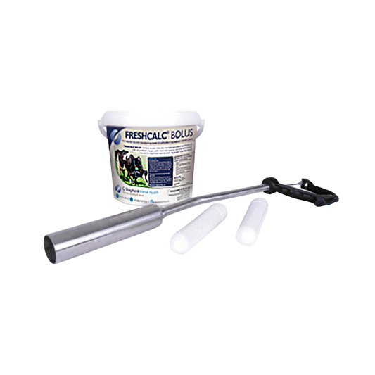 FreshCalc Calcium D3 Bolus
