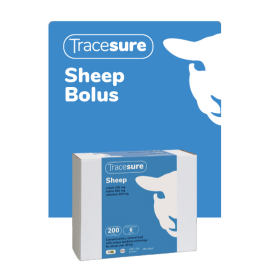 Animax Tracesure Sheep Bolus