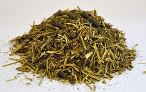 Dengie Healthy Tummy