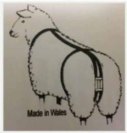 Ewe-Truss E-Gear Ewe Harness