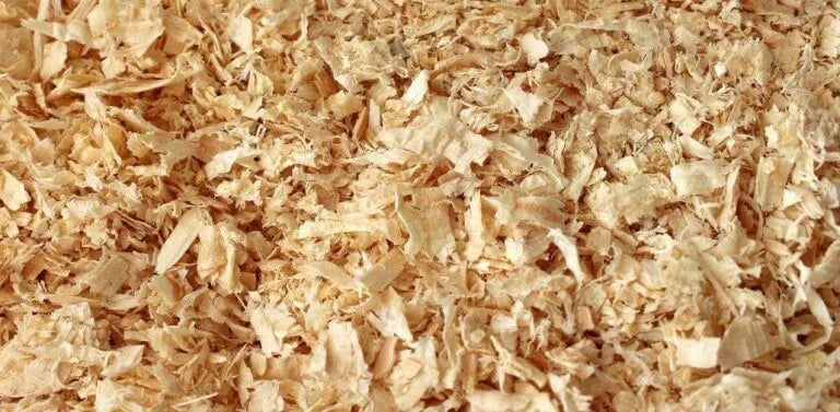 Shavings