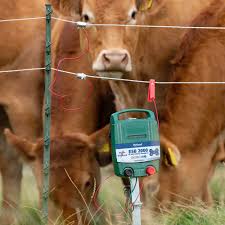 Rutland ESB2000 12V Battery Energiser