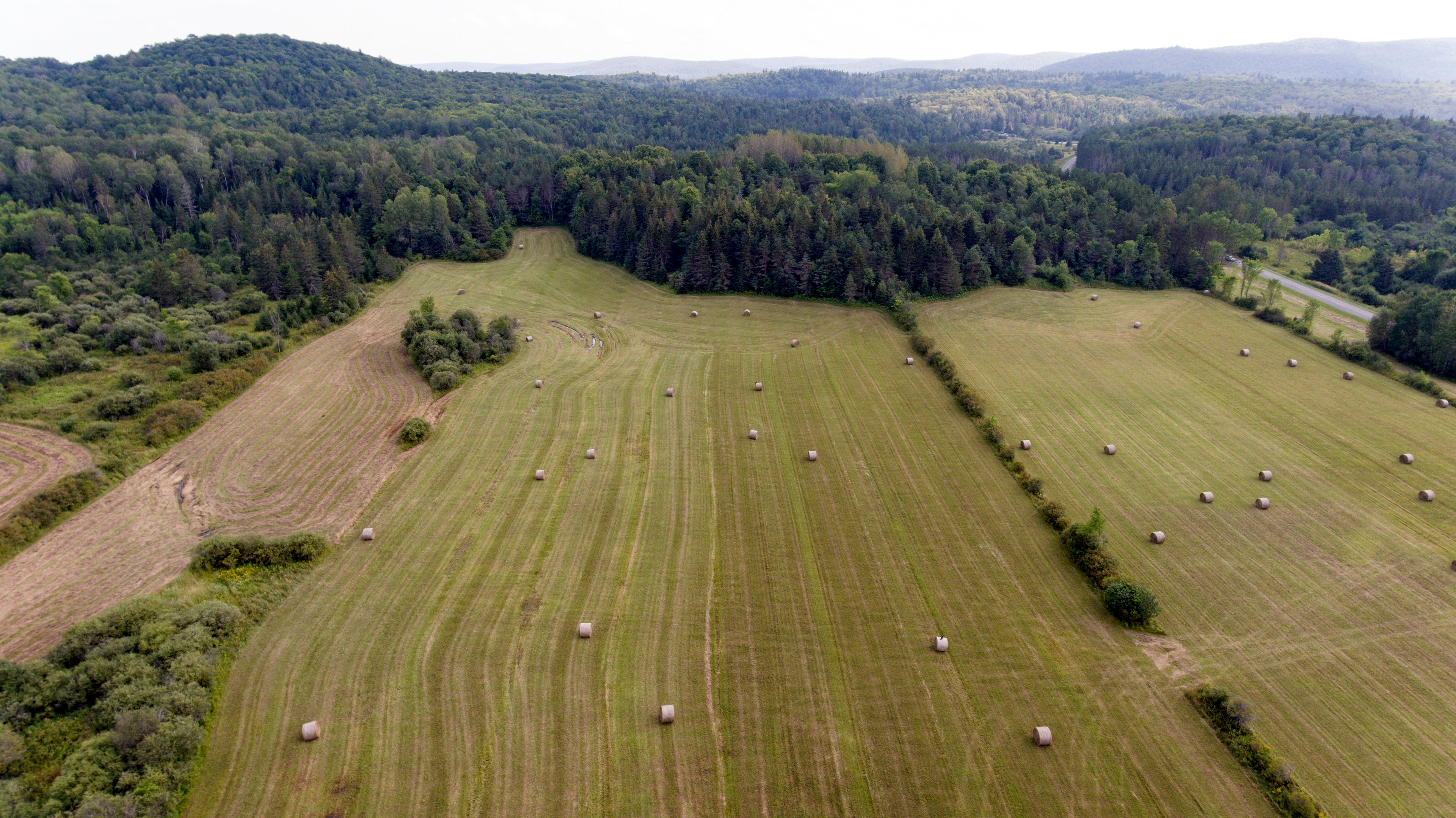 harvest farming haylage silage straw hay bales