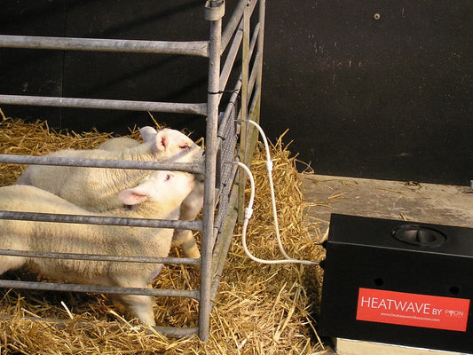 Pyon Heatwave Milk Warmer