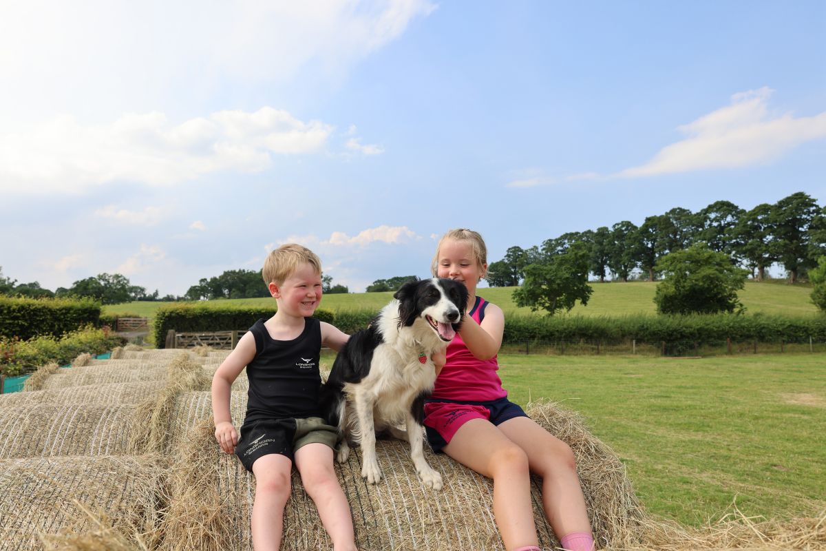 *NEW* Longhorn Kids Shearing Shorts