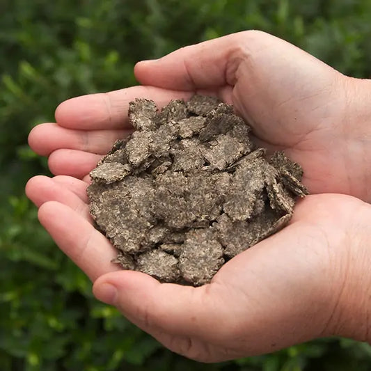 British Horse Feeds Speedy Beet