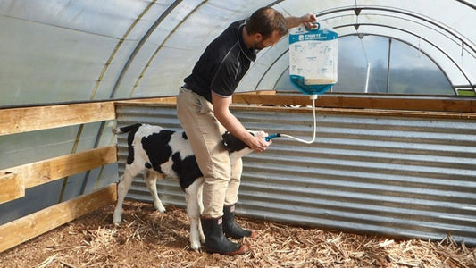 Antahi Trusti Colostrum Bags 10-Pack