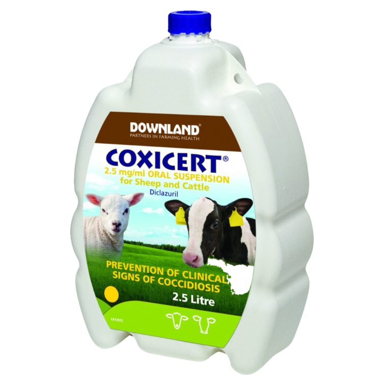 Downland Coxicert Oral Suspension