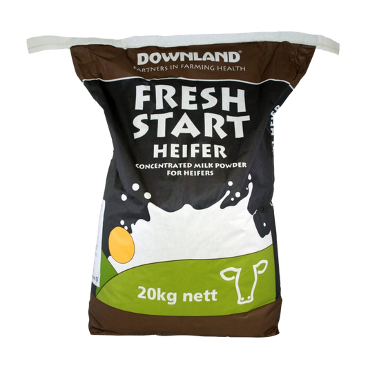 Downland Fresh Start Heifer