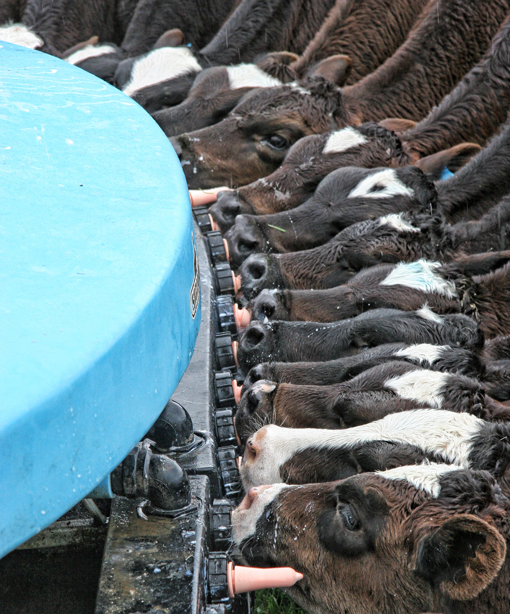 Peach Teats Threaded Pink/Black