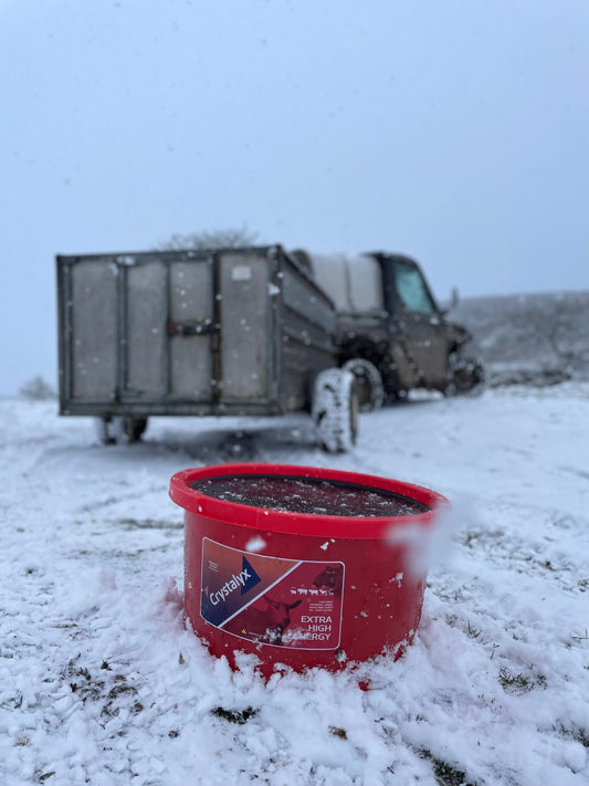 Crystalyx Extra High Energy