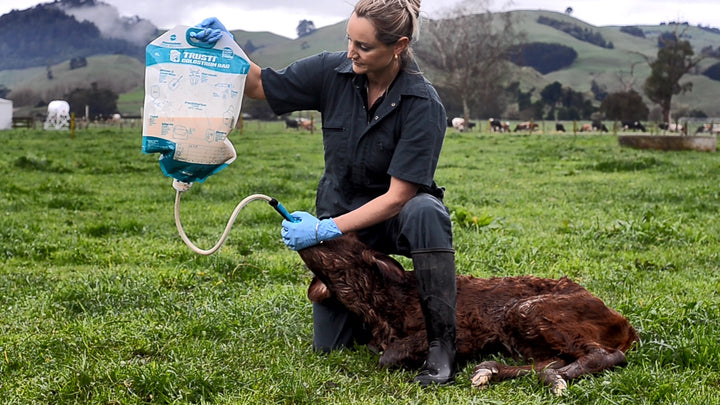 Antahi Trusti Colostrum Bags 10-Pack