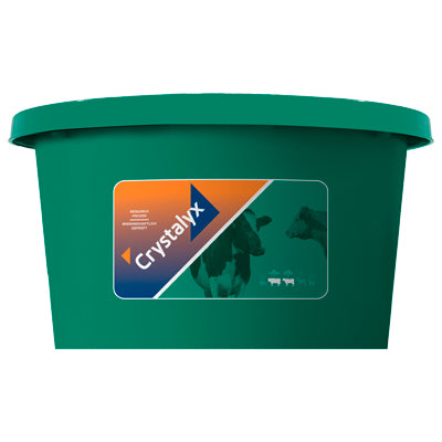 Crystalyx Cattle High Mag