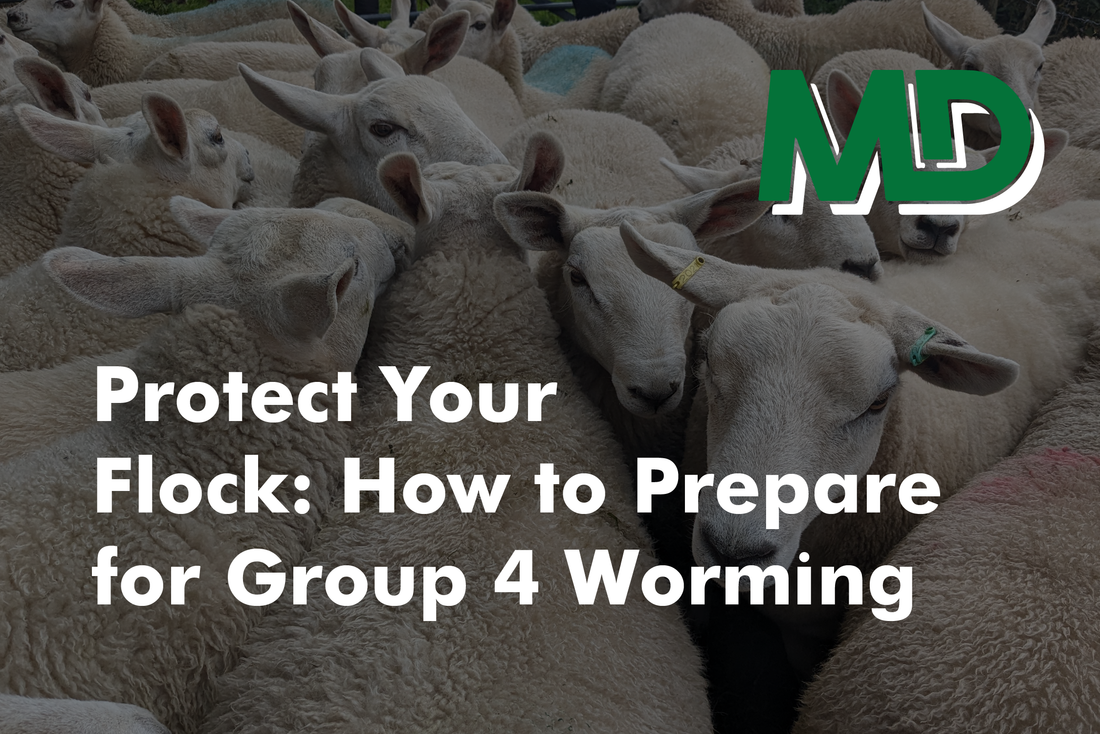 Protect Your Flock: How to Prepare for Group 4 Worming