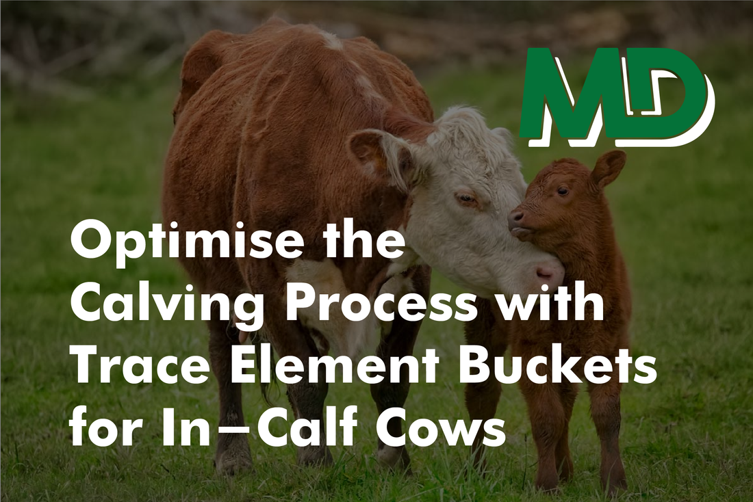 pre-calving buckets