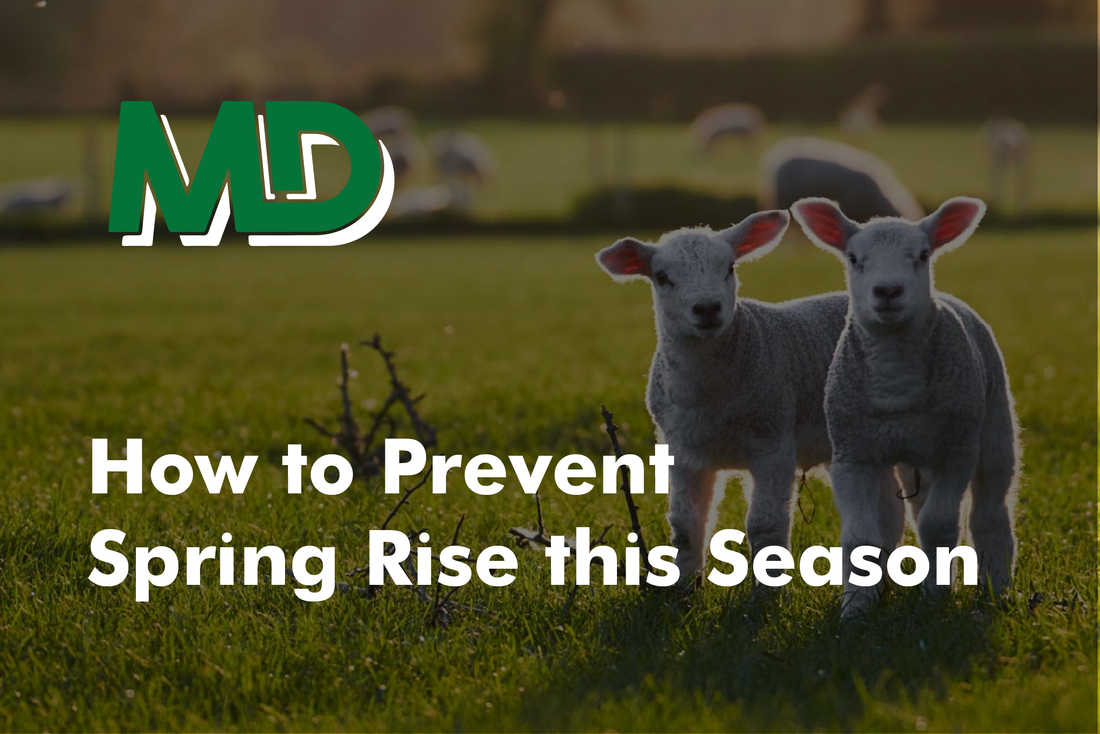 HOW TO PREVENT SPRING RISE THIS SEASON