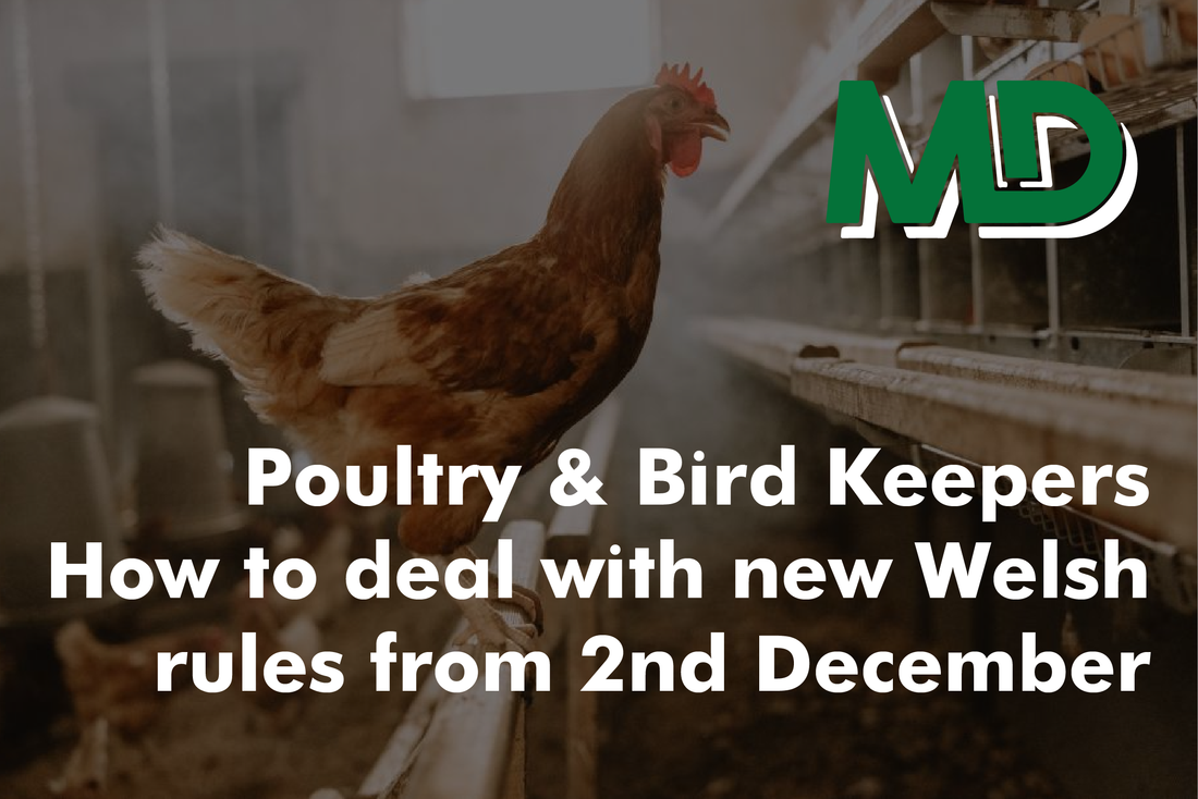 POULTRY & BIRD KEEPERS - HOW TO DEAL WITH NEW WELSH LAW FROM 2ND DECEMBER