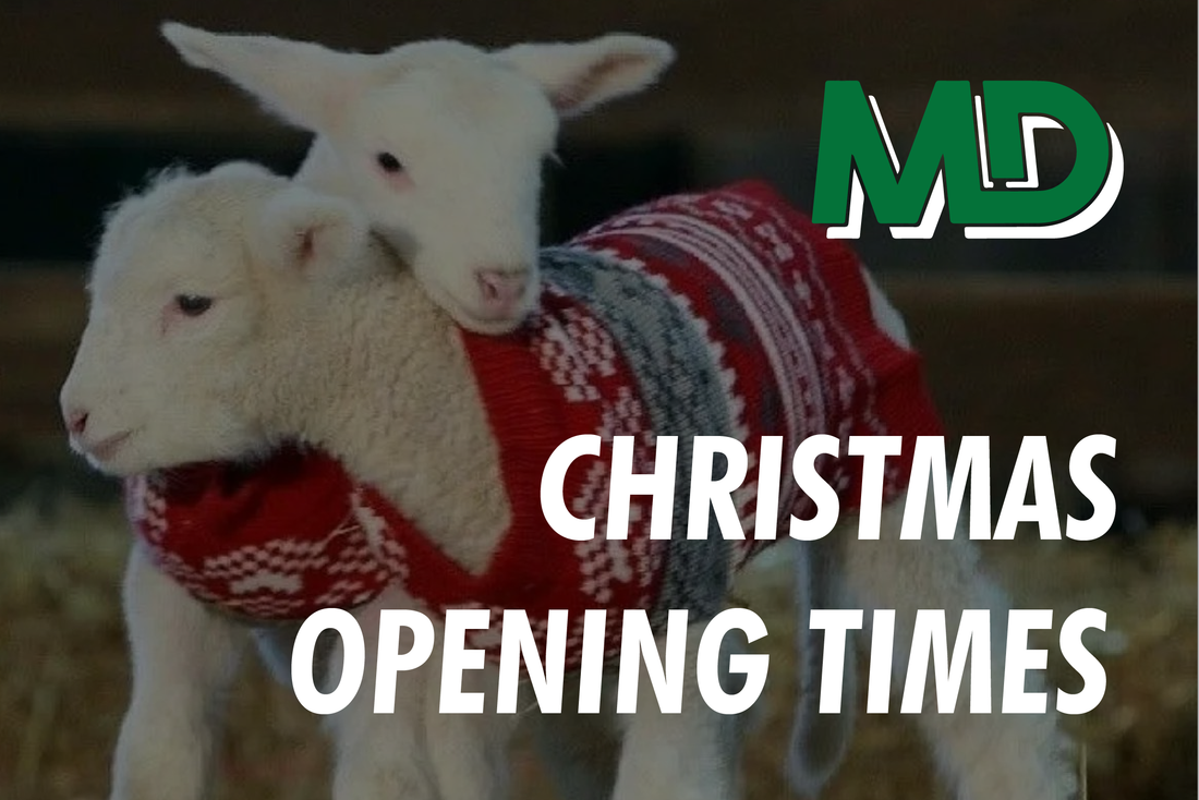 CHRISTMAS OPENING TIMES
