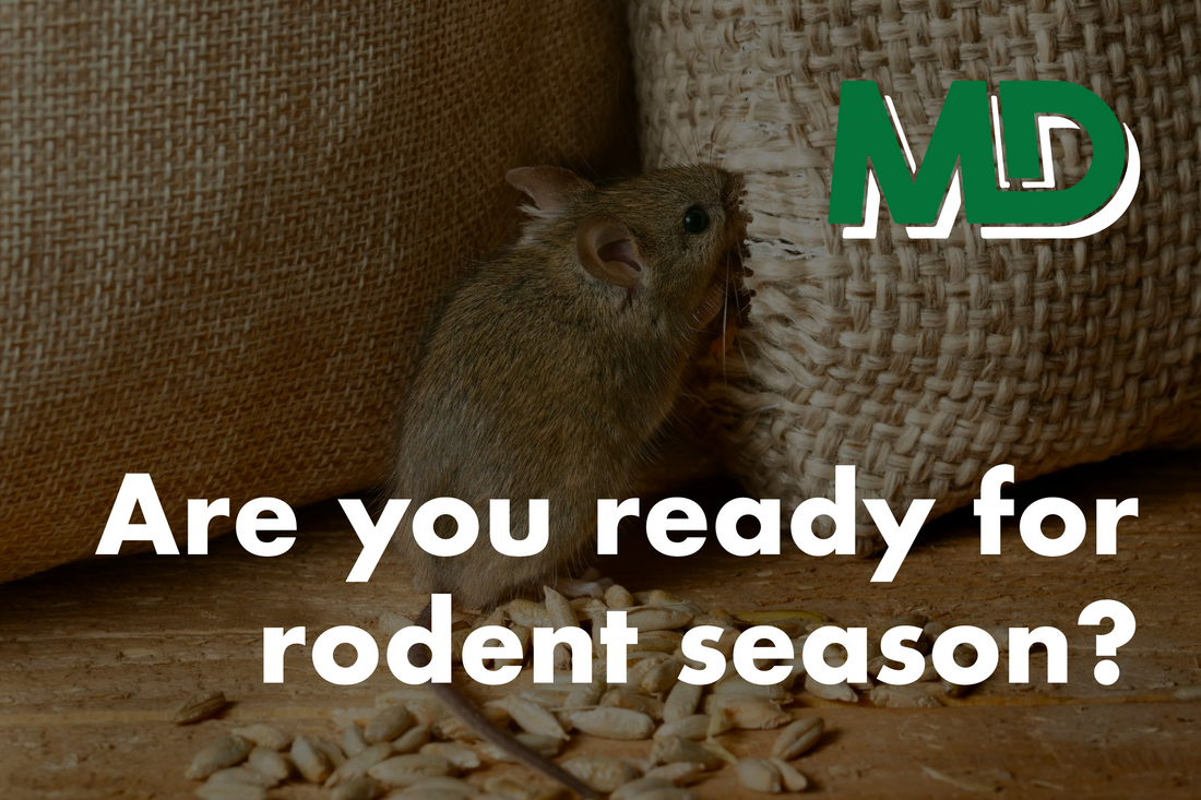 HOW TO PREPARE FOR RODENT SEASON