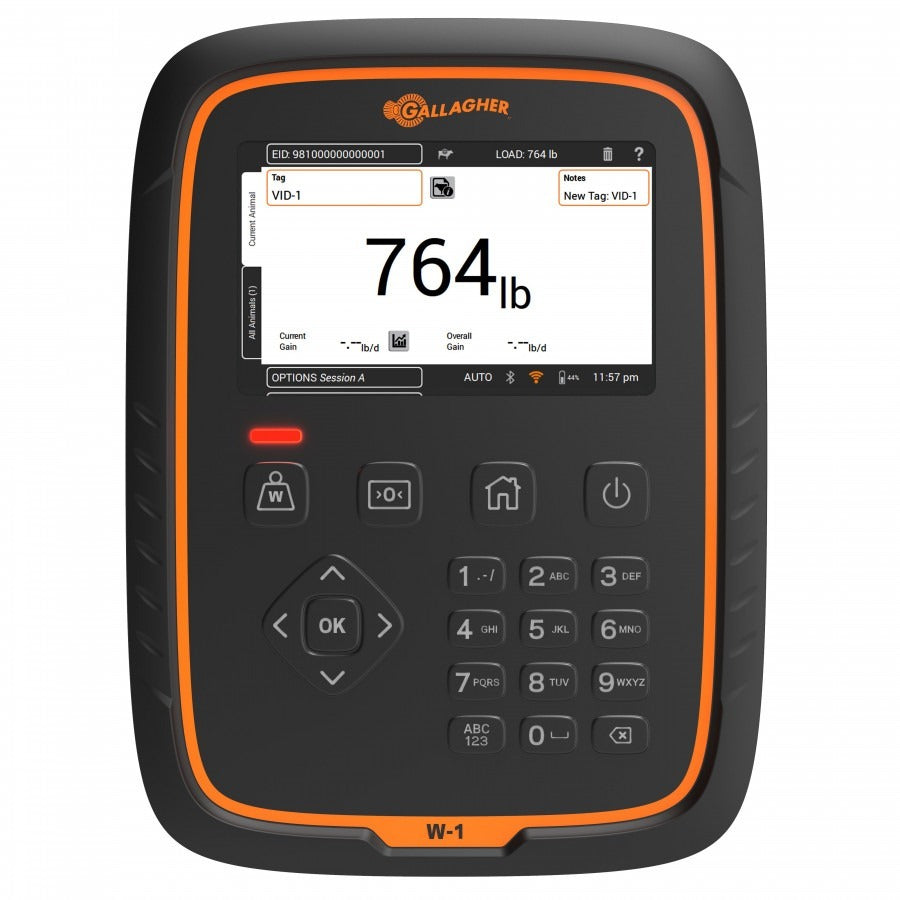GALLGHER W1 WEIGH SCALE