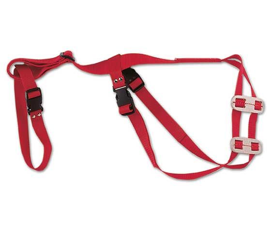 Ewe Truss Ritchey Harness