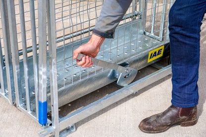 IAE Digital Lamb Weigher With Crane Scale