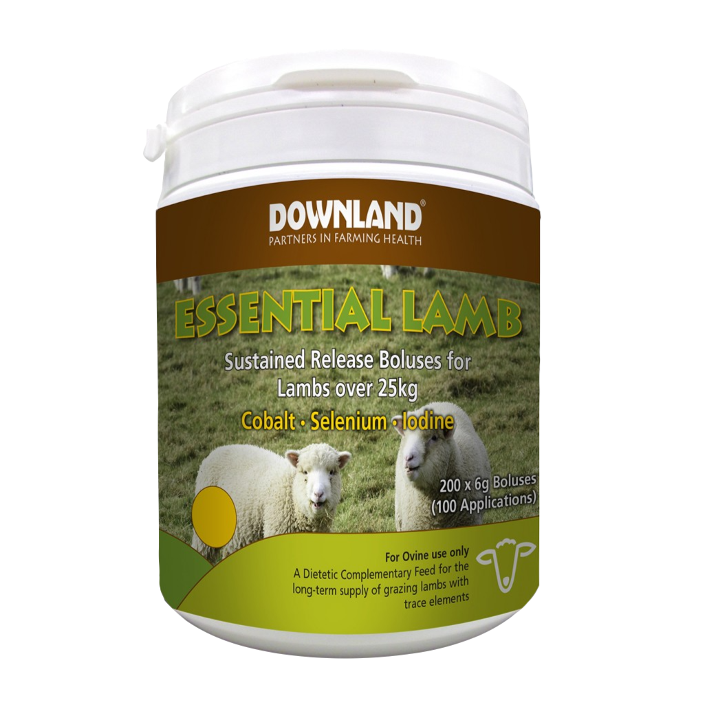 Downland Essential Lamb