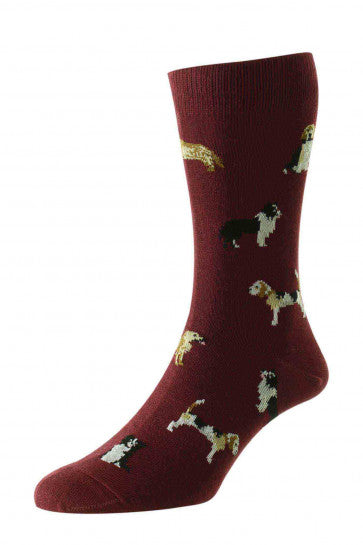 Country Dogs Cotton Rich Socks