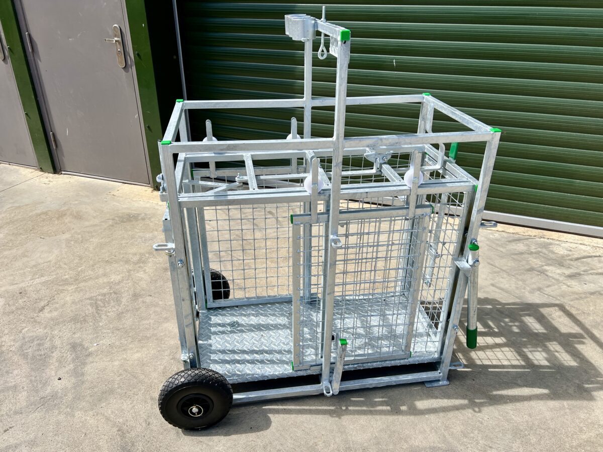 Condon Lamb Weigher Crate