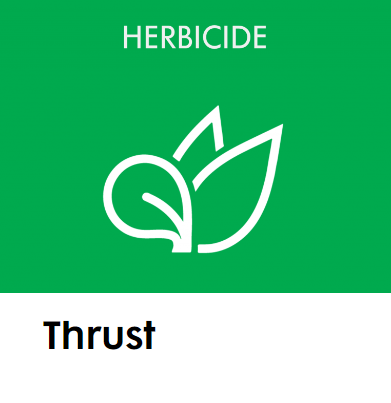 Thrust