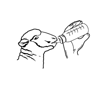 Kerbl Anti-Vac Bottle