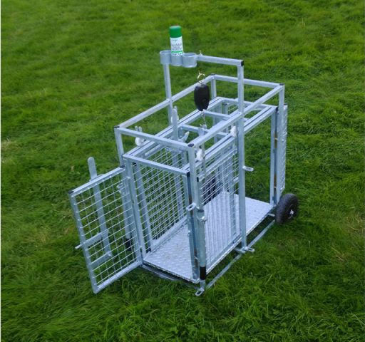 Condon Lamb Weigher Crate