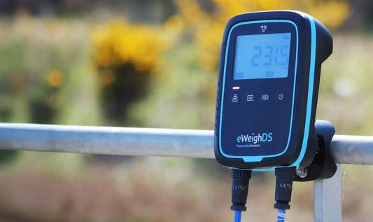 EWEIGHDS ILIVESTOCK Digital Weigh Head