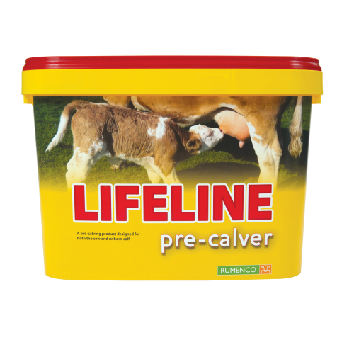 Lifeline Pre-Calver