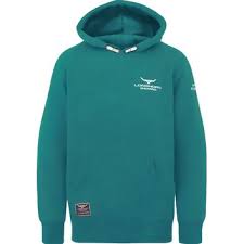 Longhorn Children's Signature Series Hooded Sweatshirt