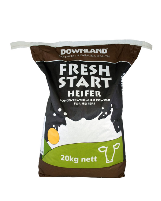 Downland Fresh Start Heifer
