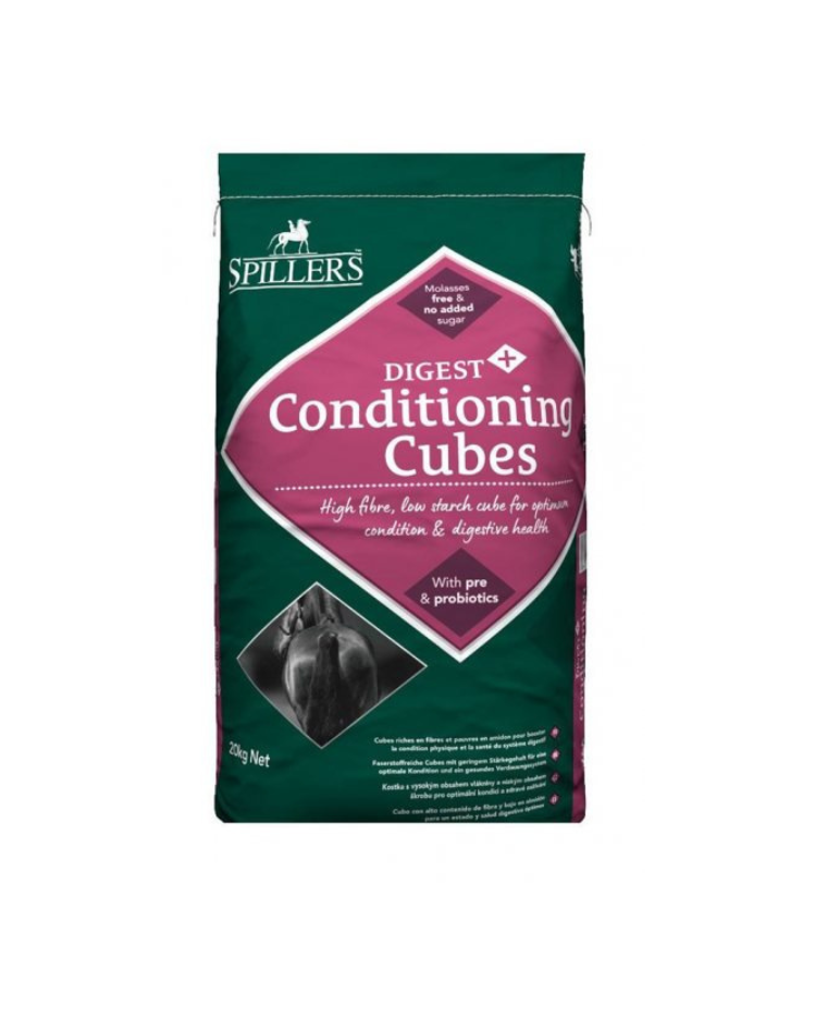 Spillers Condition Cubes 20kg