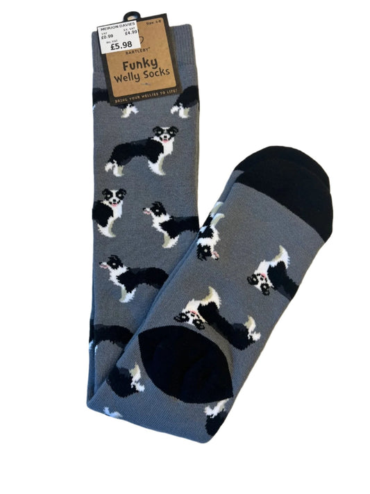 Bartleby Womens Funky Welly Sock Sheep Dog
