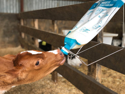 Antahi Trusti Colostrum Bags 10-Pack